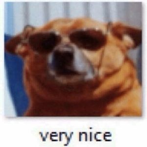 Meet your Posher, Alejandro